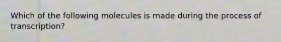 Which of the following molecules is made during the process of transcription?