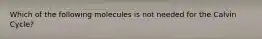 Which of the following molecules is not needed for the Calvin Cycle?
