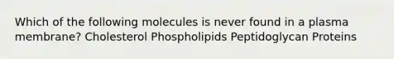 Which of the following molecules is never found in a plasma membrane? Cholesterol Phospholipids Peptidoglycan Proteins