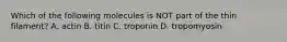 Which of the following molecules is NOT part of the thin filament? A. actin B. titin C. troponin D. tropomyosin