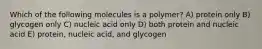 Which of the following molecules is a polymer? A) protein only B) glycogen only C) nucleic acid only D) both protein and nucleic acid E) protein, nucleic acid, and glycogen