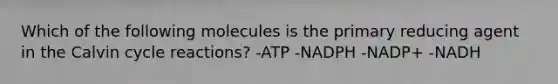 Which of the following molecules is the primary reducing agent in the Calvin cycle reactions? -ATP -NADPH -NADP+ -NADH