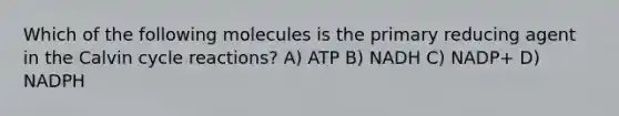 Which of the following molecules is the primary reducing agent in the Calvin cycle reactions? A) ATP B) NADH C) NADP+ D) NADPH