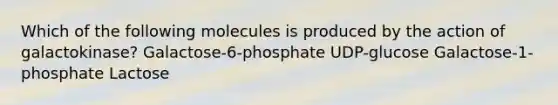 Which of the following molecules is produced by the action of galactokinase? Galactose-6-phosphate UDP-glucose Galactose-1-phosphate Lactose