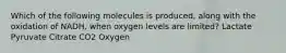 Which of the following molecules is produced, along with the oxidation of NADH, when oxygen levels are limited? Lactate Pyruvate Citrate CO2 Oxygen