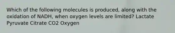 Which of the following molecules is produced, along with the oxidation of NADH, when oxygen levels are limited? Lactate Pyruvate Citrate CO2 Oxygen