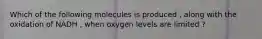 Which of the following molecules is produced , along with the oxidation of NADH , when oxygen levels are limited ?