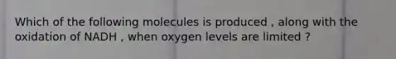 Which of the following molecules is produced , along with the oxidation of NADH , when oxygen levels are limited ?