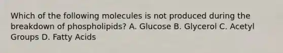 Which of the following molecules is not produced during the breakdown of phospholipids? A. Glucose B. Glycerol C. Acetyl Groups D. Fatty Acids