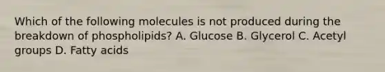 Which of the following molecules is not produced during the breakdown of phospholipids? A. Glucose B. Glycerol C. Acetyl groups D. Fatty acids