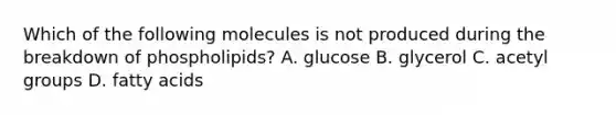 Which of the following molecules is not produced during the breakdown of phospholipids? A. glucose B. glycerol C. acetyl groups D. fatty acids