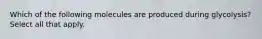 Which of the following molecules are produced during glycolysis? Select all that apply.