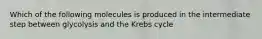 Which of the following molecules is produced in the intermediate step between glycolysis and the Krebs cycle