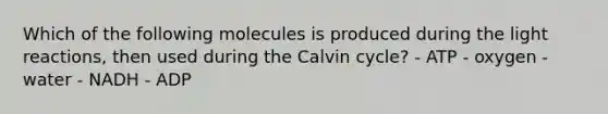 Which of the following molecules is produced during the <a href='https://www.questionai.com/knowledge/kSUoWrrvoC-light-reactions' class='anchor-knowledge'>light reactions</a>, then used during the Calvin cycle? - ATP - oxygen - water - NADH - ADP