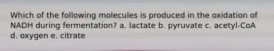 Which of the following molecules is produced in the oxidation of NADH during fermentation? a. lactate b. pyruvate c. acetyl-CoA d. oxygen e. citrate