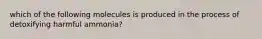 which of the following molecules is produced in the process of detoxifying harmful ammonia?