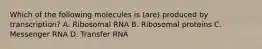 Which of the following molecules is (are) produced by transcription? A. Ribosomal RNA B. Ribosomal proteins C. Messenger RNA D. Transfer RNA