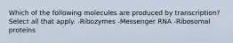 Which of the following molecules are produced by transcription? Select all that apply. -Ribozymes -Messenger RNA -Ribosomal proteins