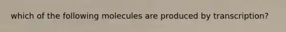 which of the following molecules are produced by transcription?