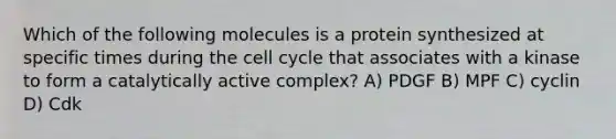 Which of the following molecules is a protein synthesized at specific times during the cell cycle that associates with a kinase to form a catalytically active complex? A) PDGF B) MPF C) cyclin D) Cdk