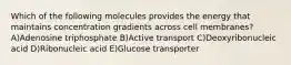 Which of the following molecules provides the energy that maintains concentration gradients across cell membranes? A)Adenosine triphosphate B)Active transport C)Deoxyribonucleic acid D)Ribonucleic acid E)Glucose transporter