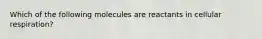 Which of the following molecules are reactants in cellular respiration?