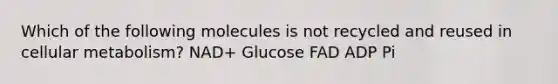 Which of the following molecules is not recycled and reused in cellular metabolism? NAD+ Glucose FAD ADP Pi