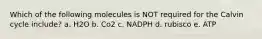 Which of the following molecules is NOT required for the Calvin cycle include? a. H2O b. Co2 c. NADPH d. rubisco e. ATP