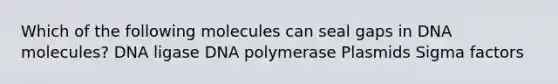 Which of the following molecules can seal gaps in DNA molecules? DNA ligase DNA polymerase Plasmids Sigma factors