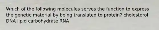 Which of the following molecules serves the function to express the genetic material by being translated to protein? cholesterol DNA lipid carbohydrate RNA