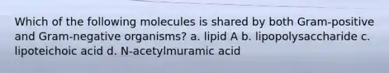 Which of the following molecules is shared by both Gram-positive and Gram-negative organisms? a. lipid A b. lipopolysaccharide c. lipoteichoic acid d. N-acetylmuramic acid