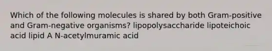 Which of the following molecules is shared by both Gram-positive and Gram-negative organisms? lipopolysaccharide lipoteichoic acid lipid A N-acetylmuramic acid