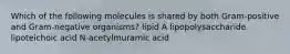 Which of the following molecules is shared by both Gram-positive and Gram-negative organisms? lipid A lipopolysaccharide lipoteichoic acid N-acetylmuramic acid