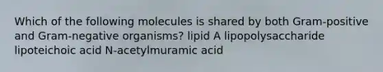 Which of the following molecules is shared by both Gram-positive and Gram-negative organisms? lipid A lipopolysaccharide lipoteichoic acid N-acetylmuramic acid