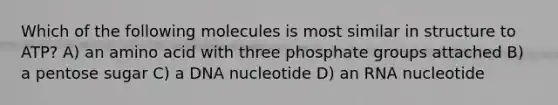 Which of the following molecules is most similar in structure to ATP? A) an amino acid with three phosphate groups attached B) a pentose sugar C) a DNA nucleotide D) an RNA nucleotide