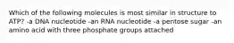 Which of the following molecules is most similar in structure to ATP? -a DNA nucleotide -an RNA nucleotide -a pentose sugar -an amino acid with three phosphate groups attached