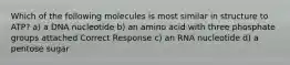 Which of the following molecules is most similar in structure to ATP? a) a DNA nucleotide b) an amino acid with three phosphate groups attached Correct Response c) an RNA nucleotide d) a pentose sugar