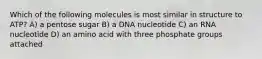 Which of the following molecules is most similar in structure to ATP? A) a pentose sugar B) a DNA nucleotide C) an RNA nucleotide D) an amino acid with three phosphate groups attached