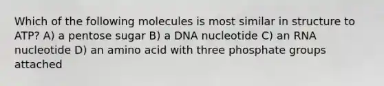 Which of the following molecules is most similar in structure to ATP? A) a pentose sugar B) a DNA nucleotide C) an RNA nucleotide D) an amino acid with three phosphate groups attached