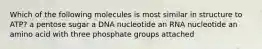 Which of the following molecules is most similar in structure to ATP? a pentose sugar a DNA nucleotide an RNA nucleotide an amino acid with three phosphate groups attached