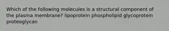 Which of the following molecules is a structural component of the plasma membrane? lipoprotein phospholipid glycoprotein proteoglycan