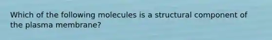 Which of the following molecules is a structural component of the plasma membrane?