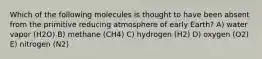 Which of the following molecules is thought to have been absent from the primitive reducing atmosphere of early Earth? A) water vapor (H2O) B) methane (CH4) C) hydrogen (H2) D) oxygen (O2) E) nitrogen (N2)