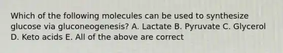 Which of the following molecules can be used to synthesize glucose via gluconeogenesis? A. Lactate B. Pyruvate C. Glycerol D. Keto acids E. All of the above are correct