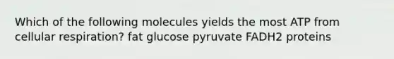 Which of the following molecules yields the most ATP from cellular respiration? fat glucose pyruvate FADH2 proteins