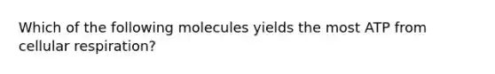 Which of the following molecules yields the most ATP from cellular respiration?