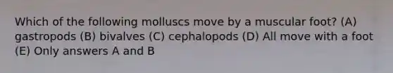 Which of the following molluscs move by a muscular foot? (A) gastropods (B) bivalves (C) cephalopods (D) All move with a foot (E) Only answers A and B