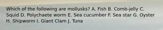 Which of the following are mollusks? A. Fish B. Comb-jelly C. Squid D. Polychaete worm E. Sea cucumber F. Sea star G. Oyster H. Shipworm I. Giant Clam J. Tuna