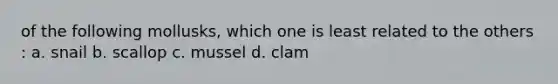 of the following mollusks, which one is least related to the others : a. snail b. scallop c. mussel d. clam