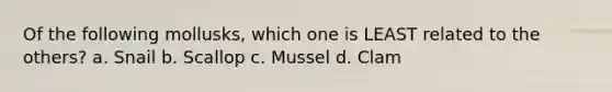 Of the following mollusks, which one is LEAST related to the others? a. Snail b. Scallop c. Mussel d. Clam